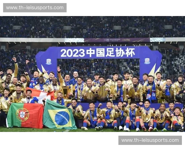 足协杯球队数据：用数字讲述杯赛背后的故事与商机