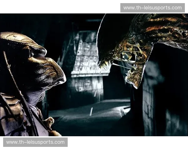 铁血之躯撞击橘色梦想：北九州向日葵与爱媛FC的绿茵宿命博弈